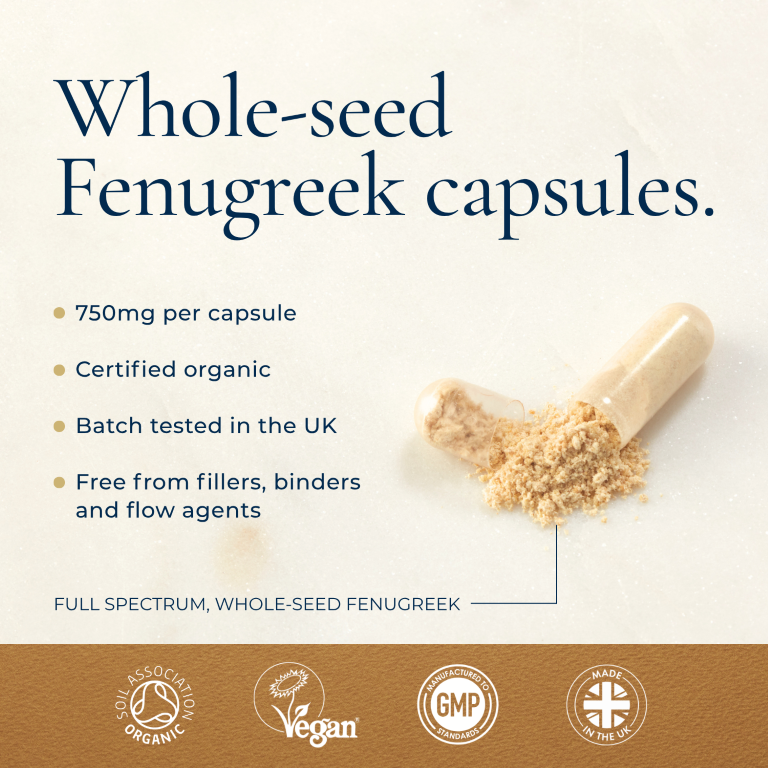 A beige capsule spills powder next to the packaging for Ayurvediq Organic Fenugreek Capsules 120-count, which displays quality certifications, available at Fisa Health.