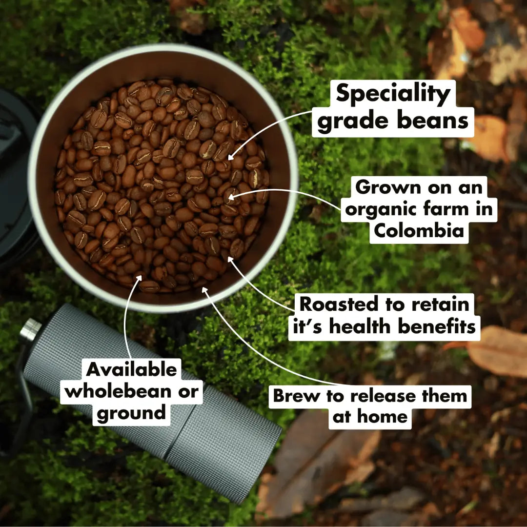 A container of Exhale Coffee Dark(ish) - Wholebean rests on mossy ground—Colombian single origin, speciality grade, available whole or ground, available at Fisa Health.