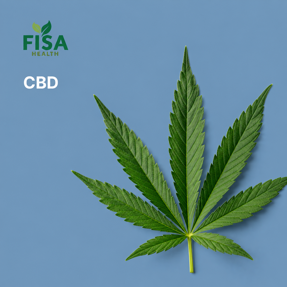 A single green cannabis leaf on a blue background with the Fisa Health logo and CBD text displayed in white on the left side.