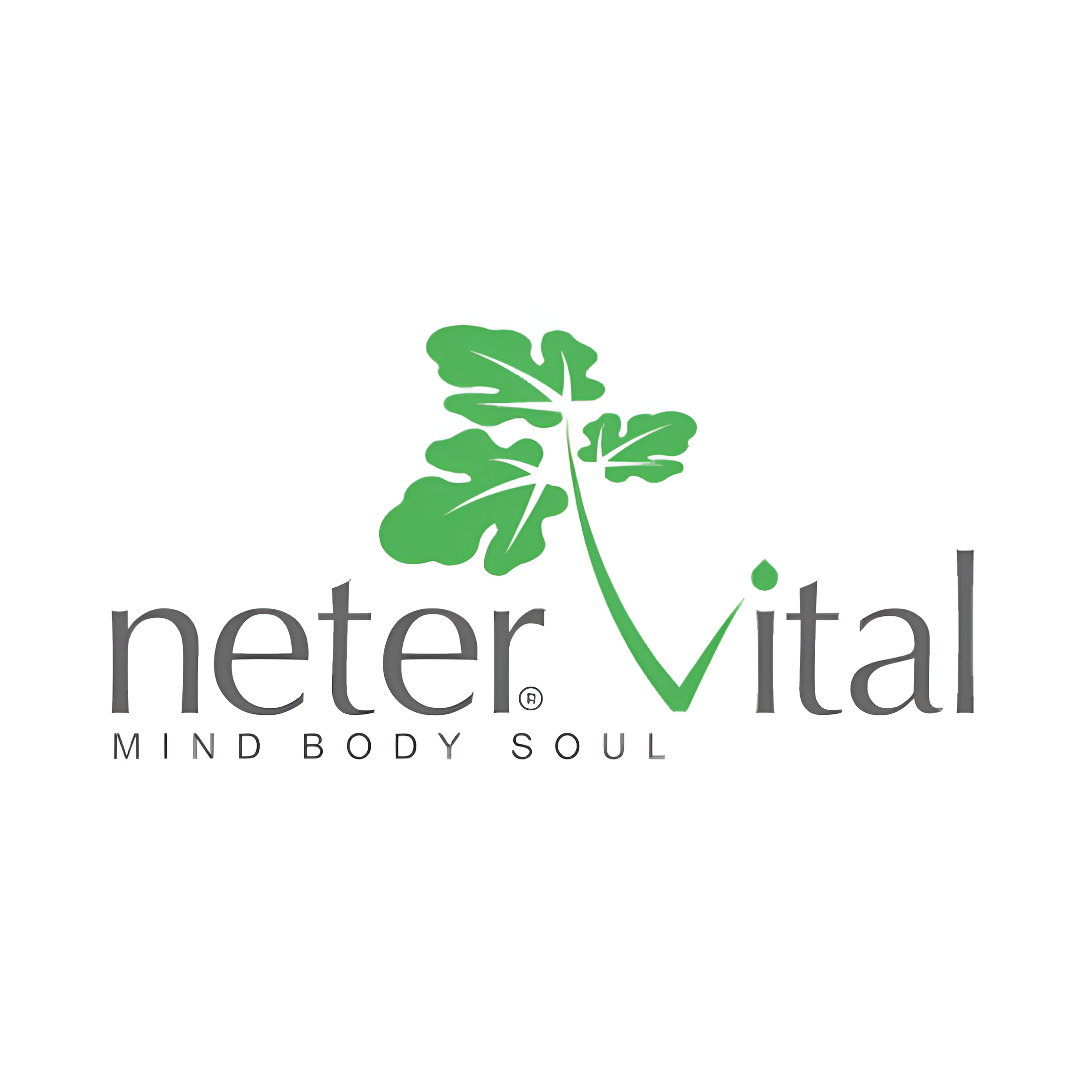 Logo for neter vital with two green leaves forming the letter V. Below, it says MIND BODY SOUL in smaller gray letters on a white background.