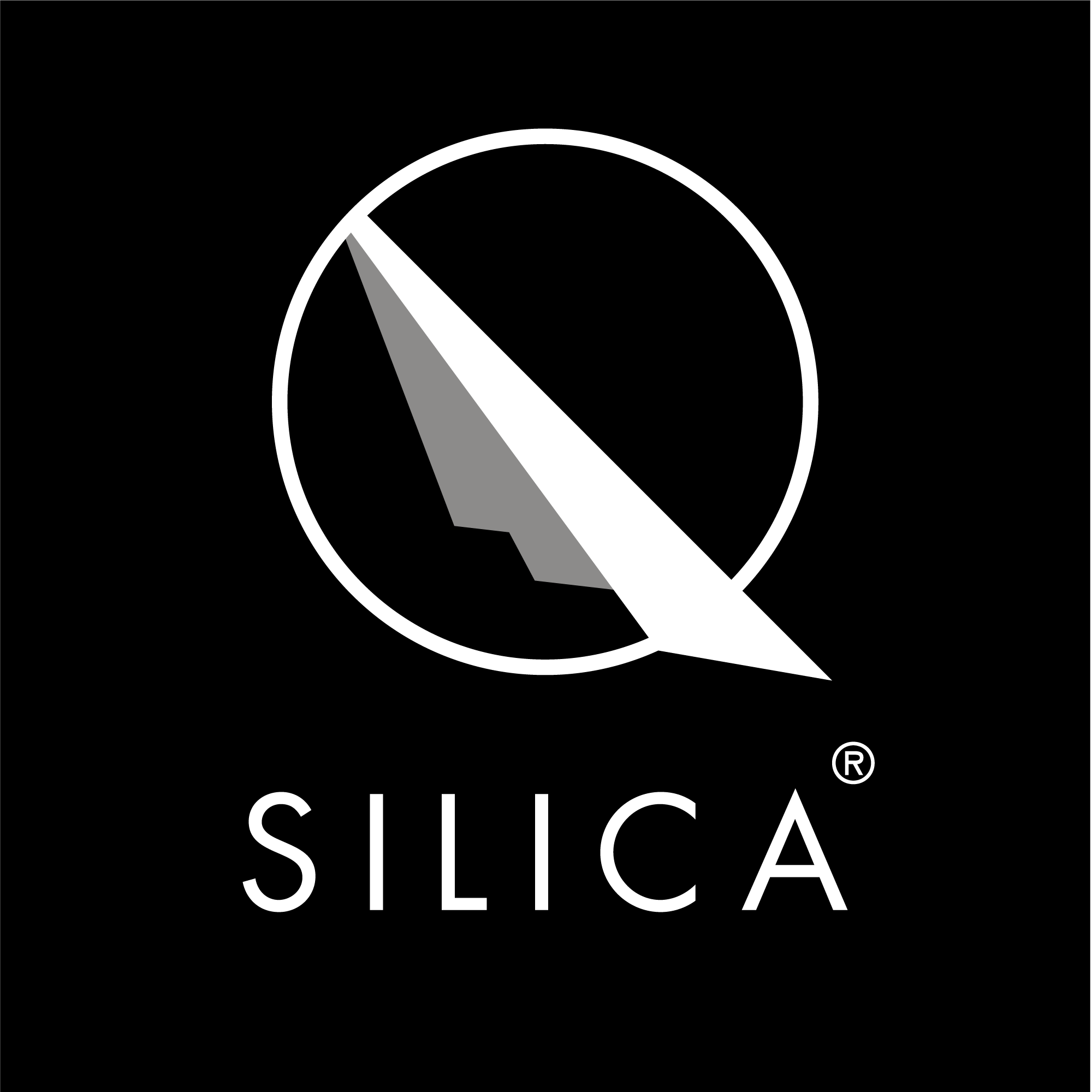 A stylized white and gray paper plane inside a circle above the word SILICA on a black background. The R registered trademark symbol appears next to the text.