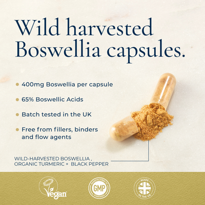 Ayurvediq Boswellia Serrata & Turmeric 400mg, 65% acids, vegan capsules in a UK-made, GMP certified pack of 60. Packaging shows product info and icons, available at Fisa Health.