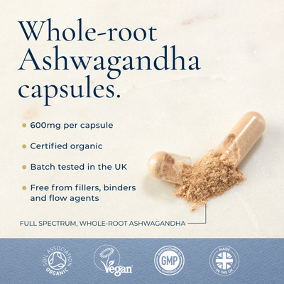 An Ayurvediq capsule spills powder to showcase Organic Ashwagandha With Black Pepper Extract, UK-tested, vegan, and filler-free. Certification icons are displayed below, available at Fisa Health.