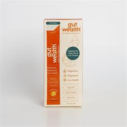Box of Gut Wealth Liquid Sachets (14), orange and white packaging, product name and tagline "Helping You Nourish Your Gut & Thrive!" visible, available at Fisa Health.