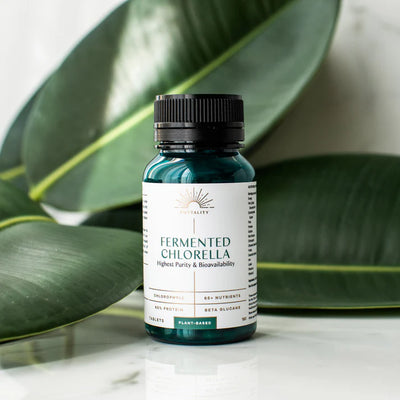 A bottle of Fermented Chlorella Tablets X 240 is displayed on a white surface, with large green leaves in the background, available at Fisa Health.